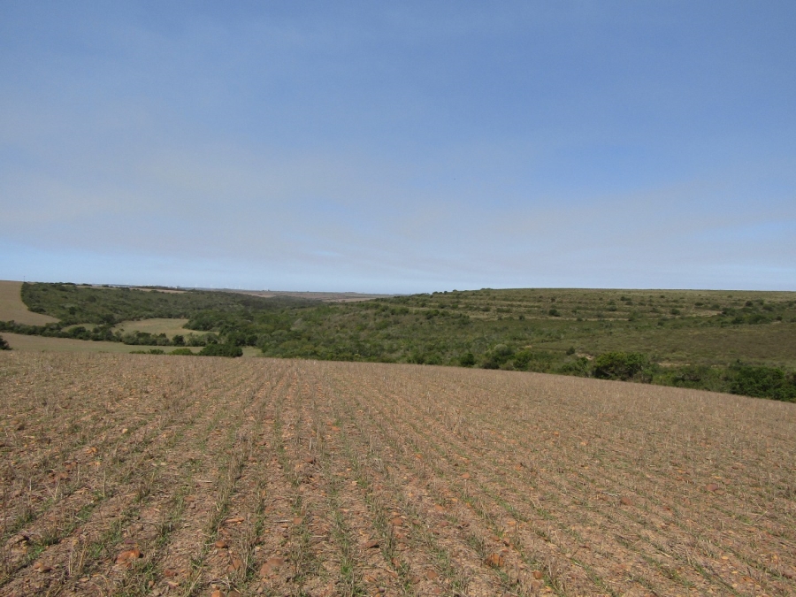 Commercial Property for Sale in Humansdorp Rural Eastern Cape